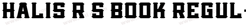 Halis R S Book Regul字体转换